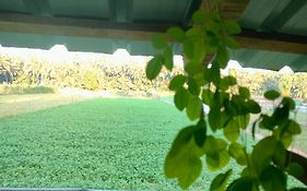 Ocean Sparrow Home Stay
